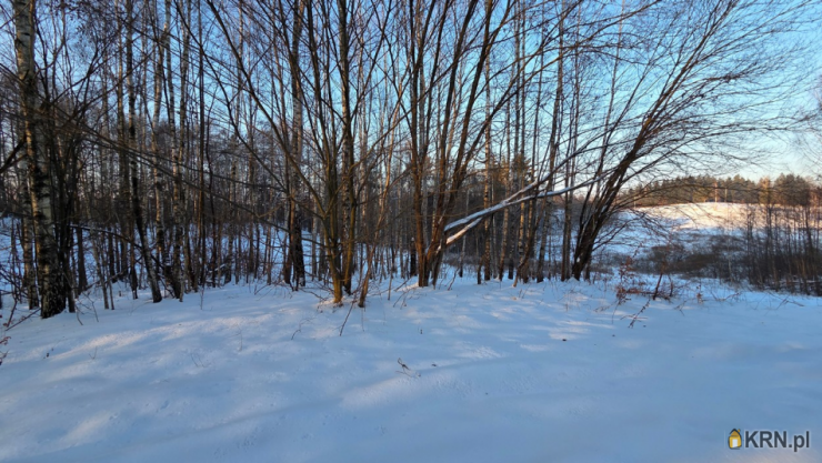 , Elbląg, Dąbrowa, ul. ul. Jaworowa, Działki  na sprzedaż
