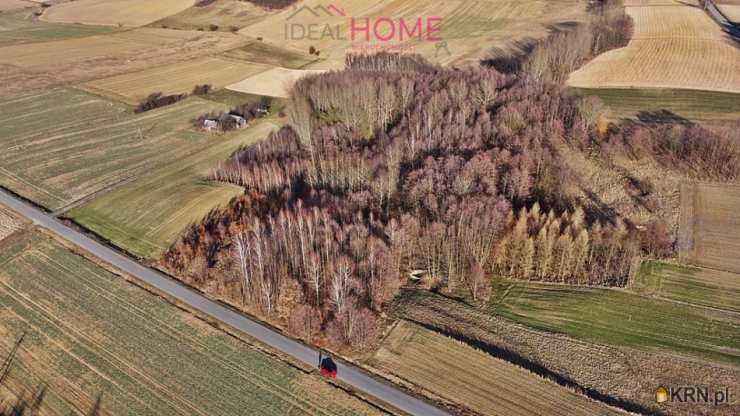 Olimpów, ul. , Działki  na sprzedaż, 