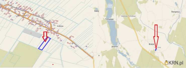 Działki  na sprzedaż, Brzezie, ul. , 
