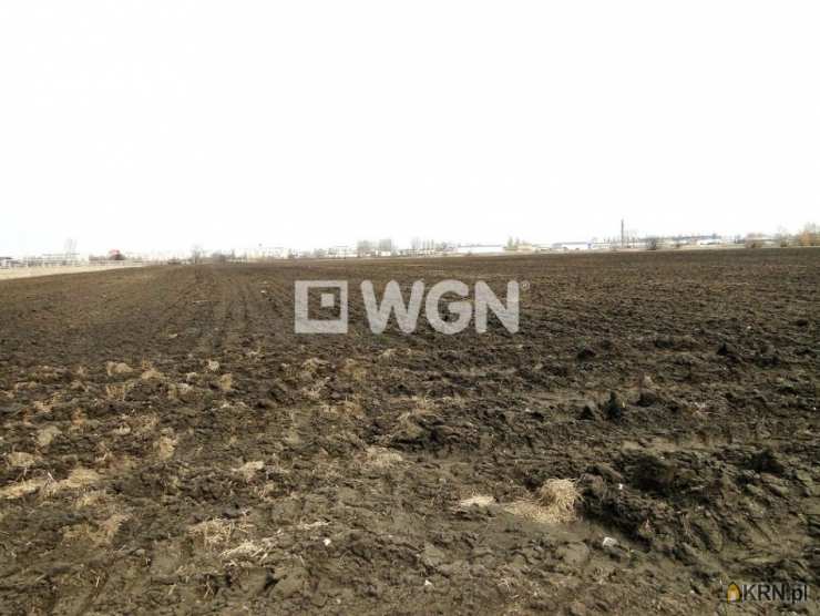 Działki  na sprzedaż, Kruszwica, ul. , 