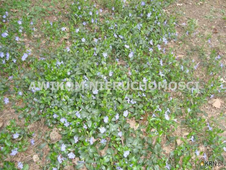 Działki  na sprzedaż, Ojrzanów, ul. , 