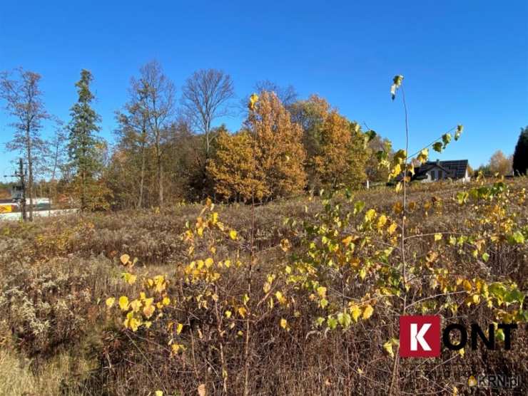 Zakrzów, ul. , Działki  na sprzedaż, 