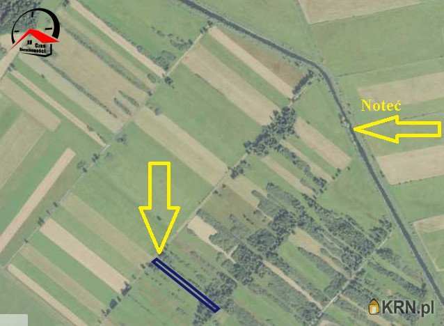 Działki  na sprzedaż, Nowe Dąbie, ul. , 