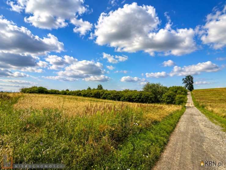 Działki  na sprzedaż, Brzozówka Korzkiewska, ul. , 