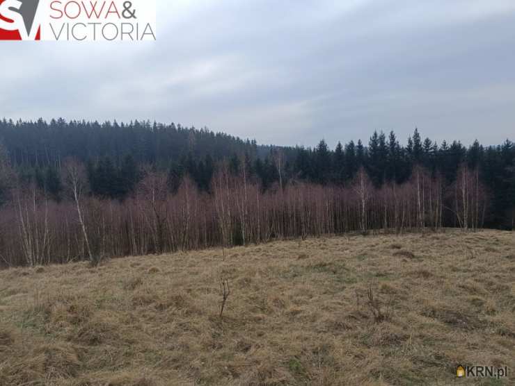 , Działki  na sprzedaż, Grzędy, ul. 