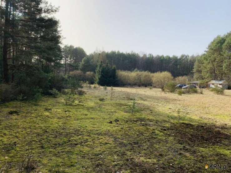 Działki  na sprzedaż, Drzewce, ul. , 