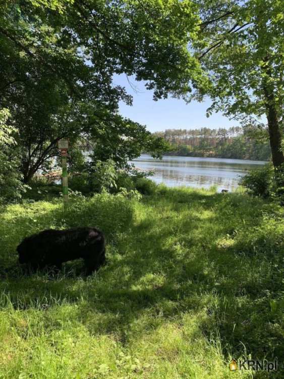 , Działki  na sprzedaż, Drzewce, ul. 