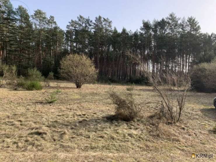 Pegaz Nieruchomości, Działki  na sprzedaż, Drzewce, ul. 