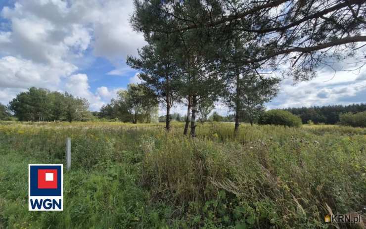 Działki  na sprzedaż, , Trzciana, ul. 