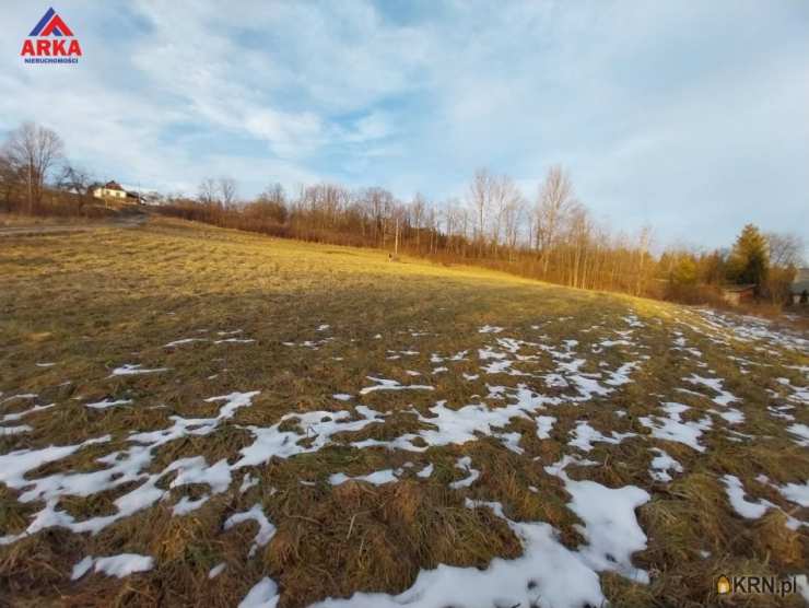 Działki  na sprzedaż, , Wilkowisko, ul. 