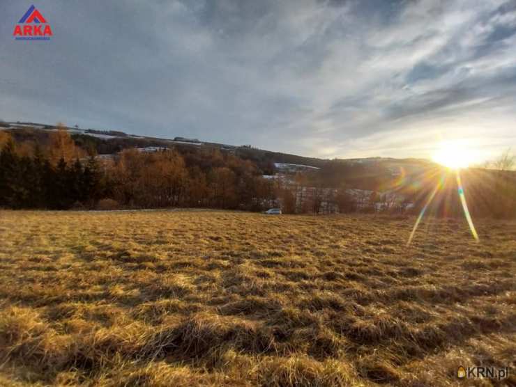 , Wilkowisko, ul. , Działki  na sprzedaż