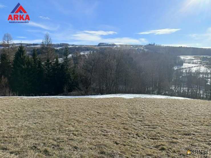 Działki  na sprzedaż, Wilkowisko, ul. , 