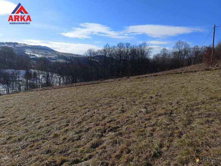 Działki  na sprzedaż, , Wilkowisko, ul. 