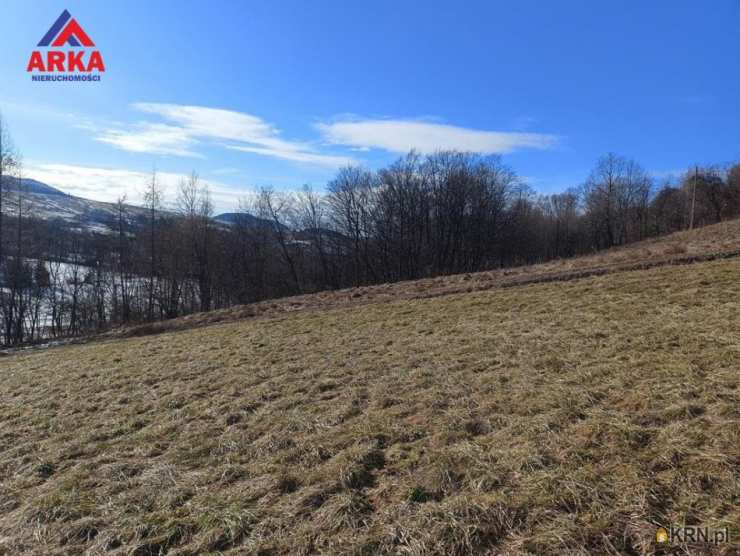 , Działki  na sprzedaż, Wilkowisko, ul. 