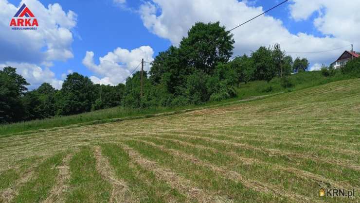 Działki  na sprzedaż, Wilkowisko, ul. , 