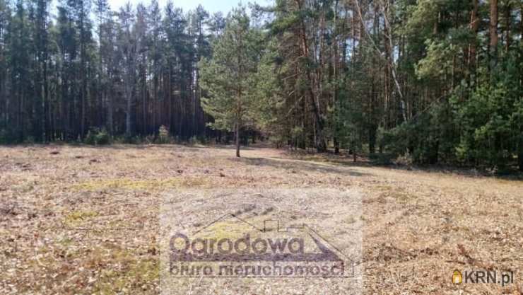 Działki  na sprzedaż, , Kąty, ul. 