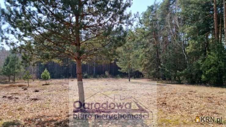 Działki  na sprzedaż, , Kąty, ul. 