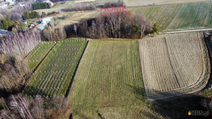 Piątkowa, ul. , Działki  na sprzedaż, 