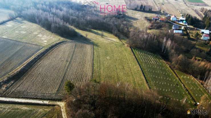 Działki  na sprzedaż, , Piątkowa, ul. 