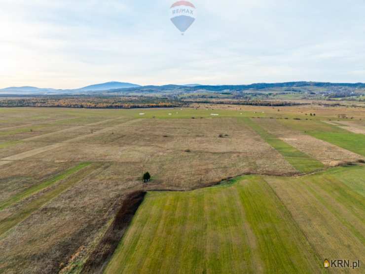 Działki  na sprzedaż, Czarny Dunajec, ul. , 