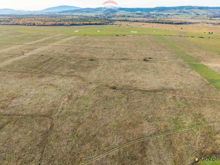 Działki  na sprzedaż, , Czarny Dunajec, ul. 