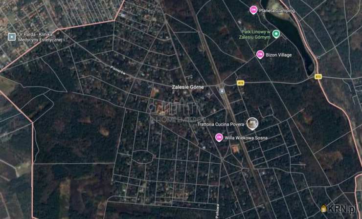 Działki  na sprzedaż, Zalesie Górne, ul. , 