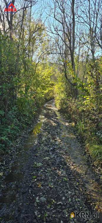 Działki  na sprzedaż, Kamienica, ul. , 