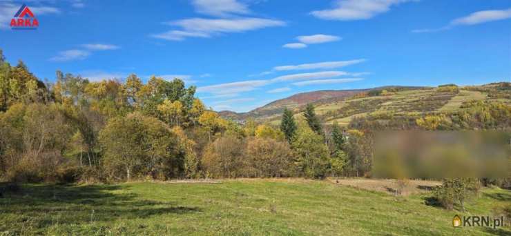 , Działki  na sprzedaż, Kamienica, ul. 
