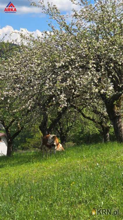 Działki  na sprzedaż, Kamienica, ul. , 