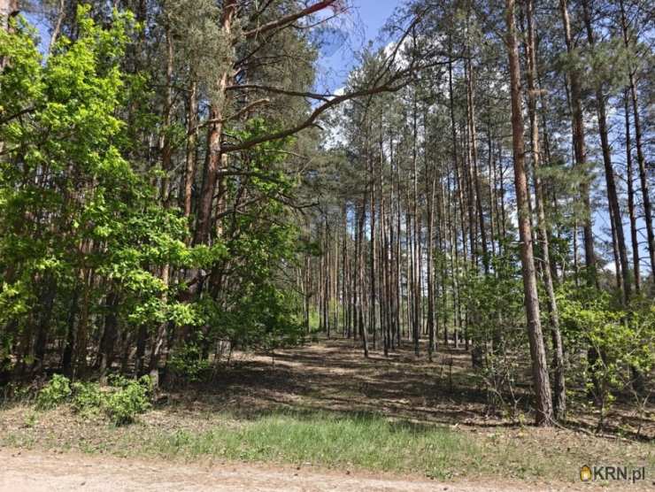 , Krzyżówka, ul. , Działki  na sprzedaż