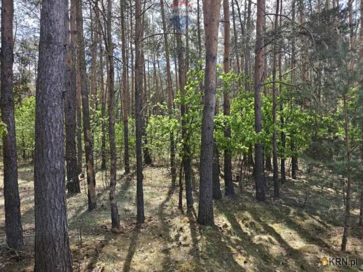 , Działki  na sprzedaż, Krzyżówka, ul. 