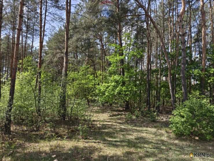 Działki  na sprzedaż, , Krzyżówka, ul. 