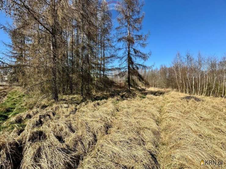 RE/MAX Polska, Działki  na sprzedaż, Łuków Śląski, ul. 