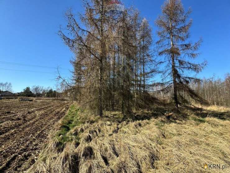 Działki  na sprzedaż, Łuków Śląski, ul. , 