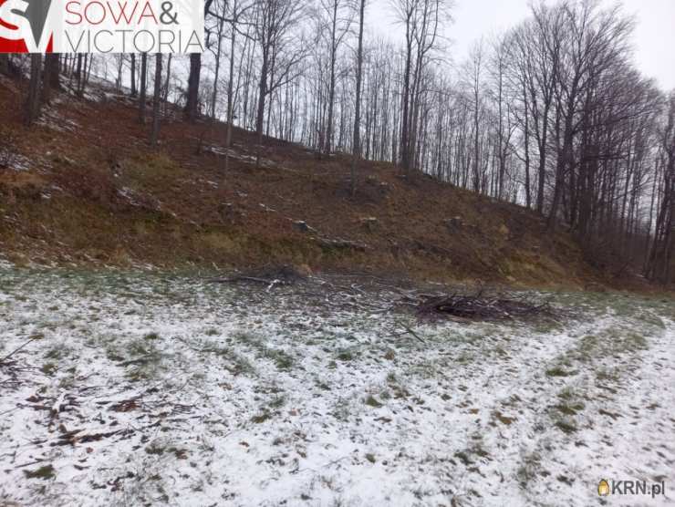 Chwaliszów, ul. , , Działki  na sprzedaż