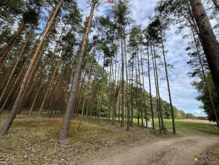 Pustelnik, ul. , Działki  na sprzedaż, 