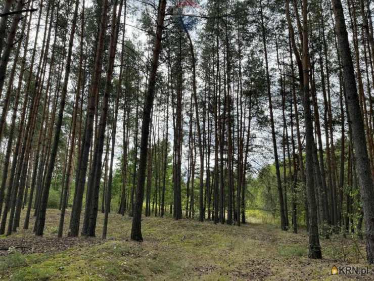 Pustelnik, ul. , Działki  na sprzedaż, 