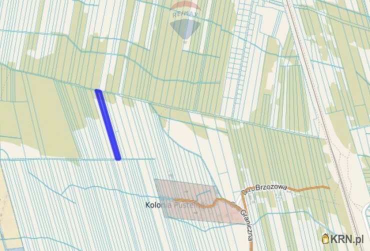 RE/MAX Polska, Działki  na sprzedaż, Pustelnik, ul. 