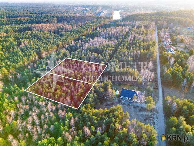 Trzciany, ul. , Działki  na sprzedaż, 