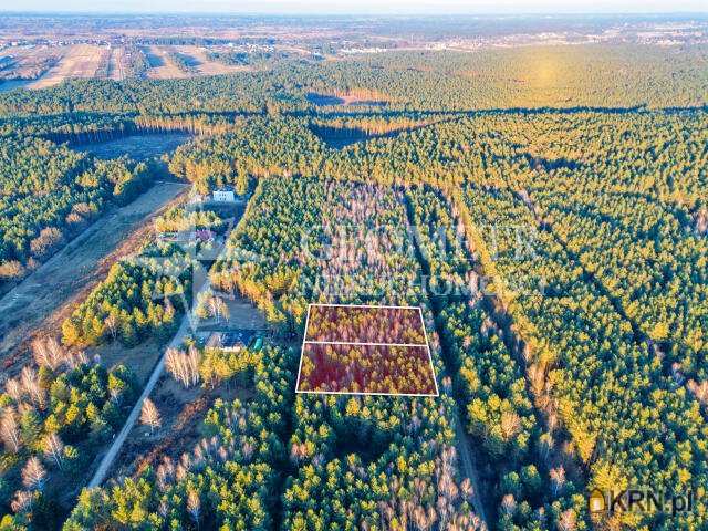 Trzciany, ul. , , Działki  na sprzedaż