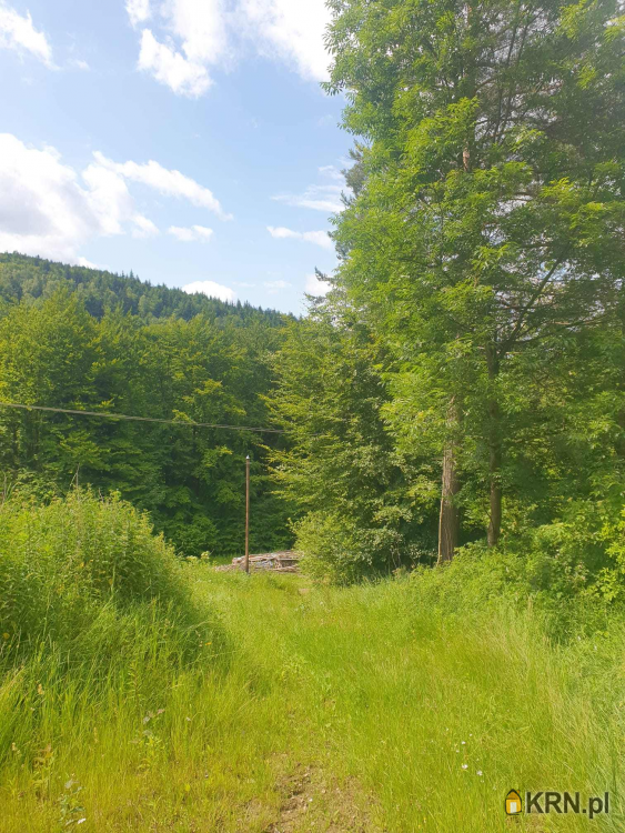 Działki  na sprzedaż, Żarnówka, ul. , 