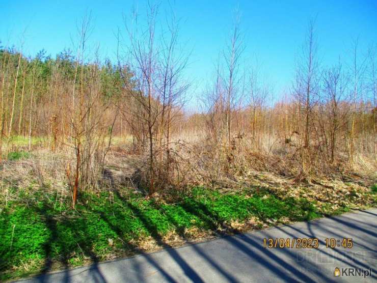 Działki  na sprzedaż, Kłyżów, ul. , 
