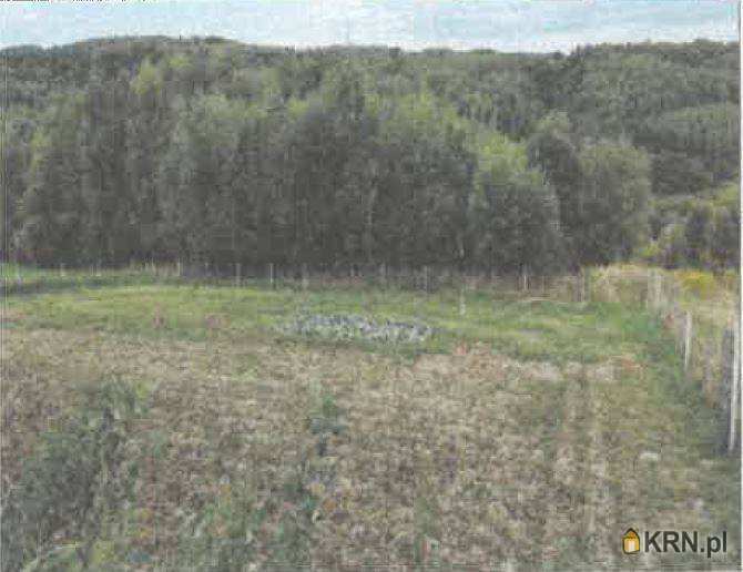 Działki  na sprzedaż, Barycz, ul. , 