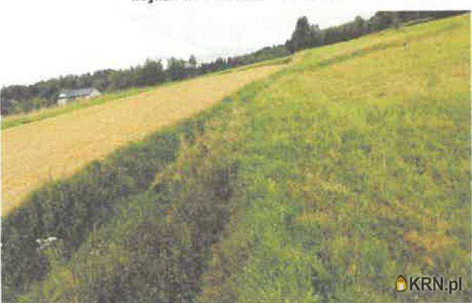 Barycz, ul. , Działki  na sprzedaż, 