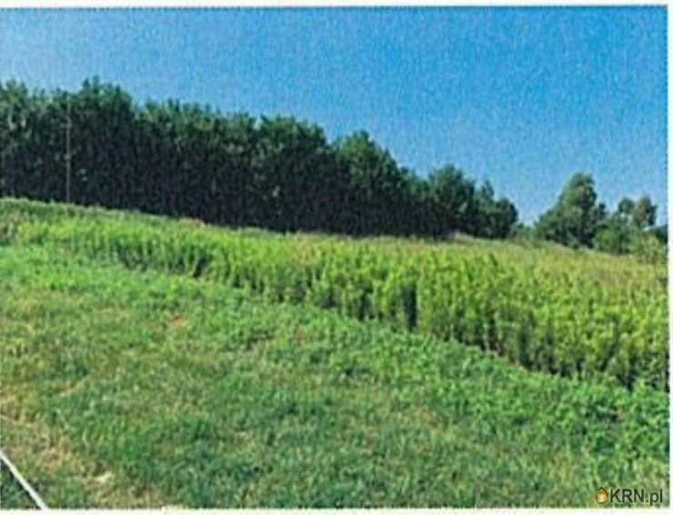 Działki  na sprzedaż, Grabno, ul. , 