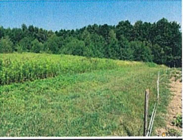 Działki  na sprzedaż, , Grabno, ul. 