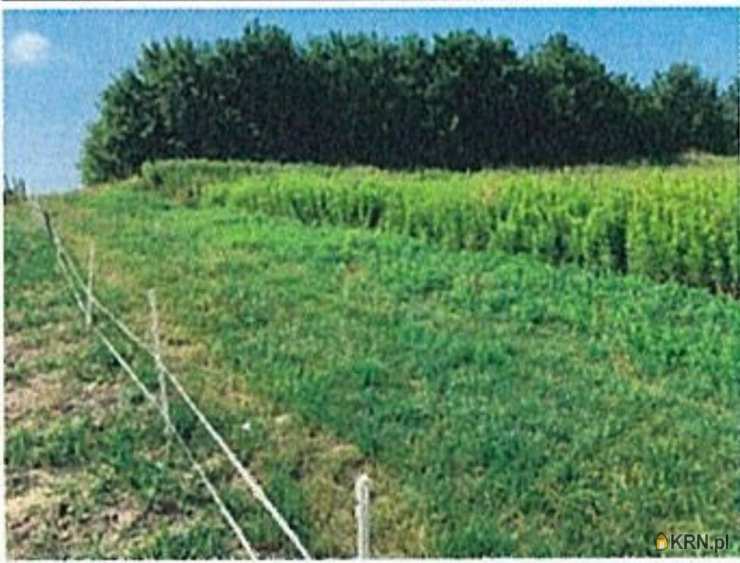 Grabno, ul. , Działki  na sprzedaż, 