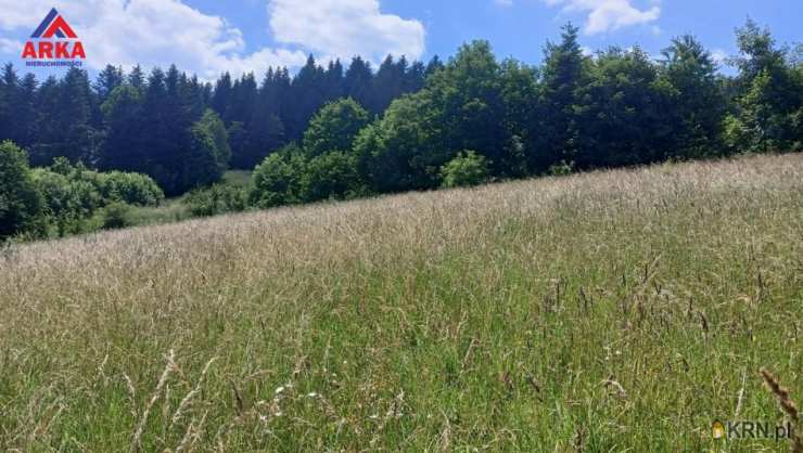 Działki  na sprzedaż, Przyszowa, ul. , 