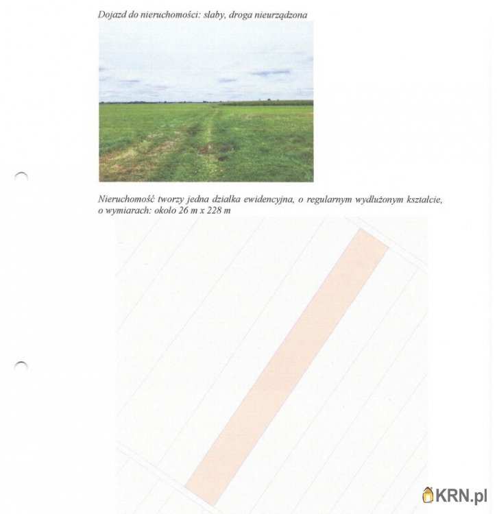 Działki  na sprzedaż, , Skrzeszewy, ul. 