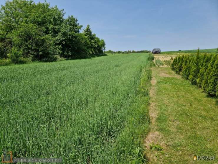 Wola Więcławska, ul. , , Działki  na sprzedaż